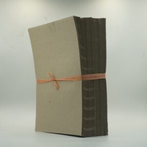 Carton Plastron 200PCS – 28x30