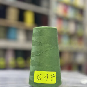 Fil à coudre 40/2 Vert Color 617