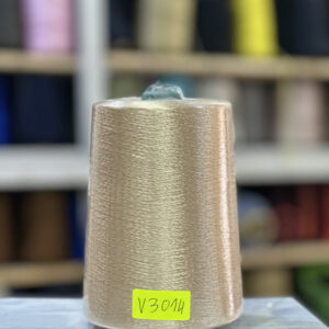 FIL RAYON CHINE - V3014 - Beige clair